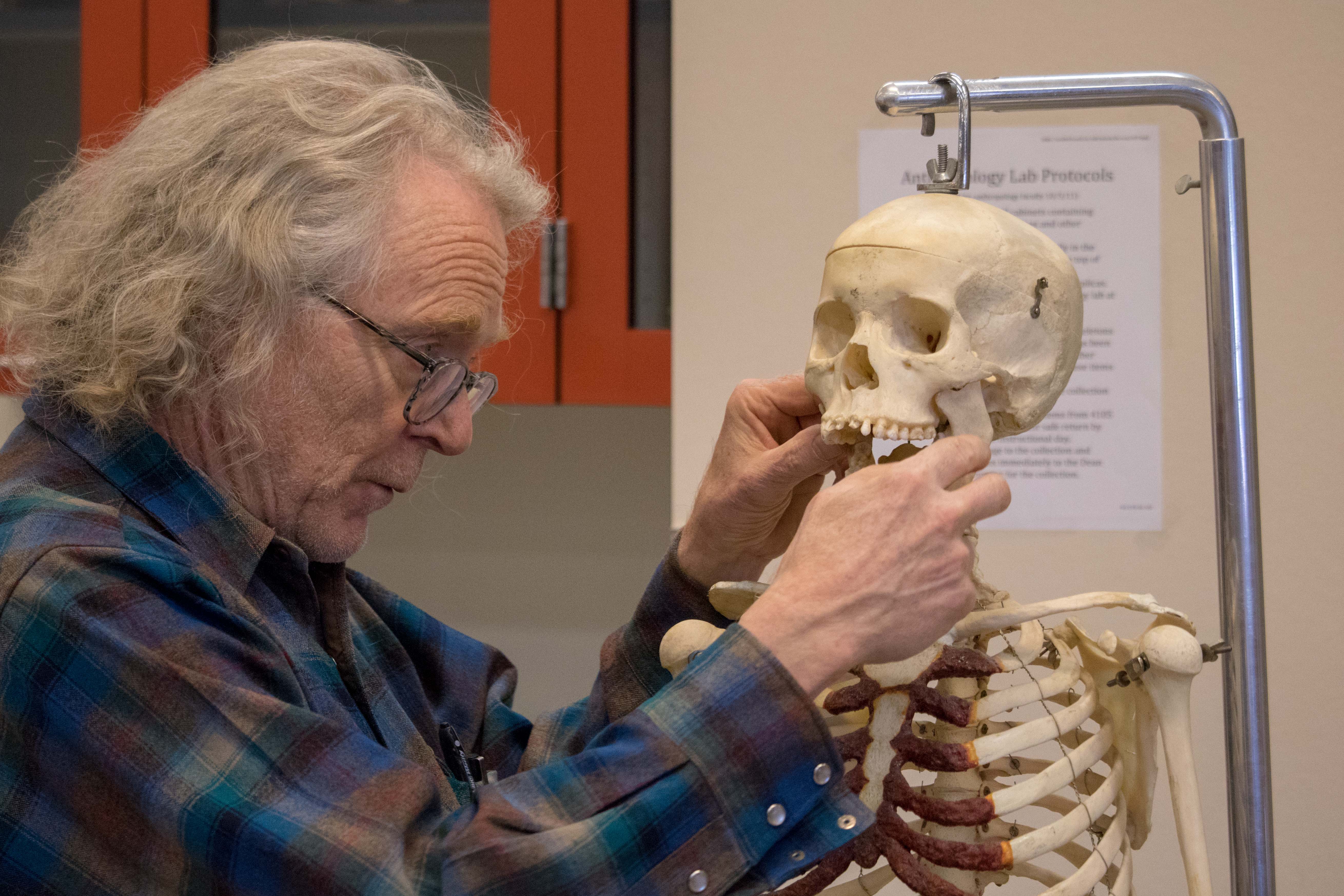 Anthropologist with Skull